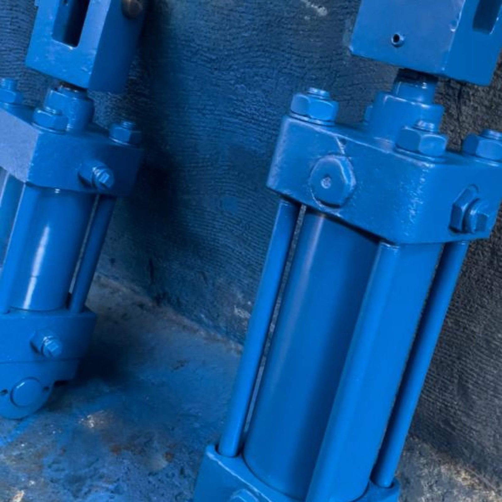 WhatsApp Image 2026-02-08 at 10.15.41 PM (3)