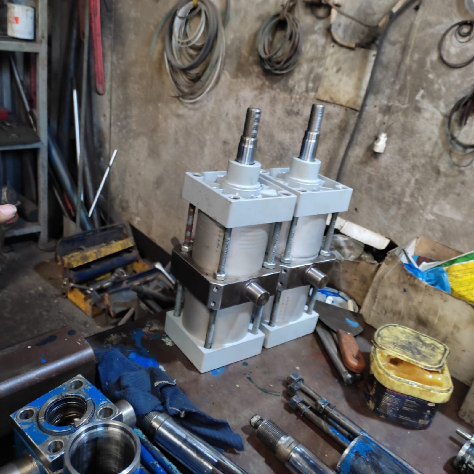 WhatsApp Image 2026-02-08 at 10.45.16 PM